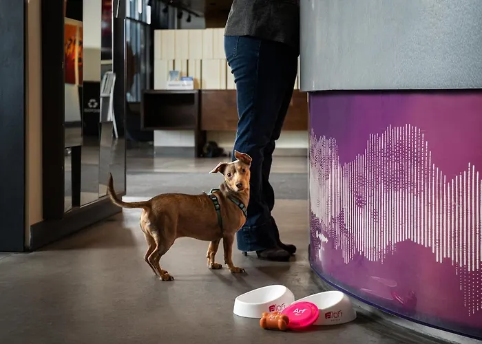Aloft By Marriott Hotel 3*